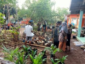 Pemdes Padang Kala Bagikan 1500 Ekor Ayam Untuk Warga Desa